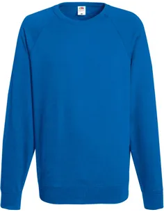 Moški pulover Lightweight Raglan Sweat 2