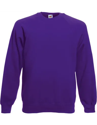 Moški pulover Classic Raglan Sweat
