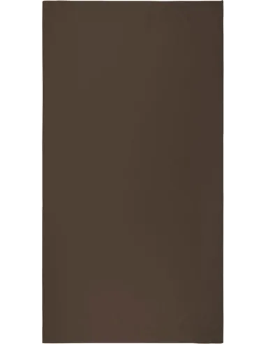 Brisača za plažo Classic 100