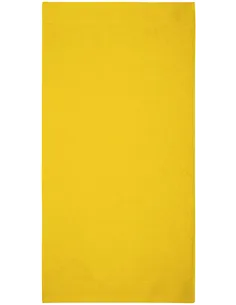 Klasična brisača 50 2