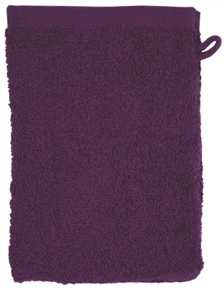 Rokavična brisača Washcloth