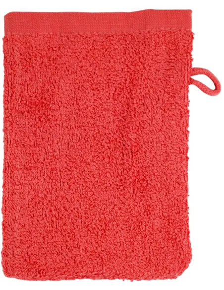 Rokavična brisača Washcloth