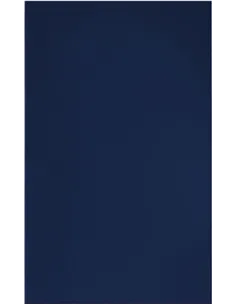 Brisača Towel 100 2