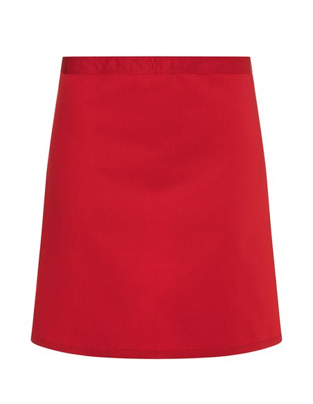 Srednji predpasnik Paris